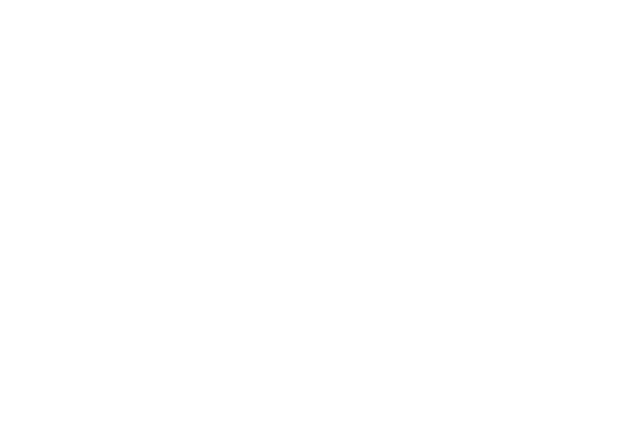 The Insurance Guy logo